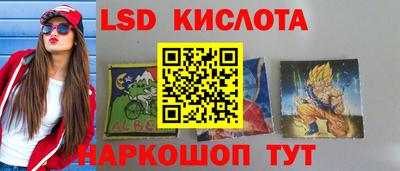 сатива Ставрополь