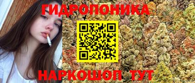 сатива Ставрополь