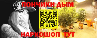 сатива Ставрополь