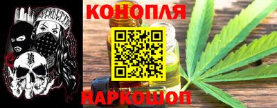 сатива Ставрополь