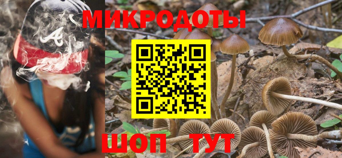 Галлюциногенные грибы прущие грибы  Вход с VPN  что такое   Острогожск 